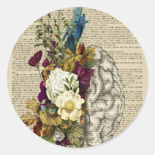 medical floral brain anatomy poster classic round sticker