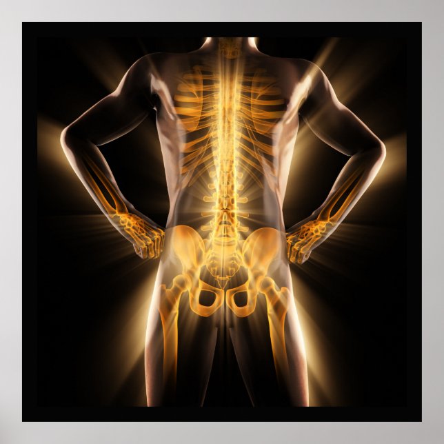 Medical Glowing Radiography Scan Human Bones Poster (Front)