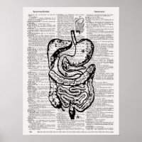 Medical Illustration Dictionary Art