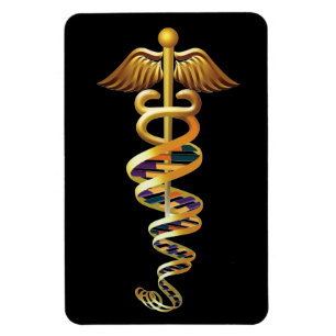 Medical Insignia Magnet