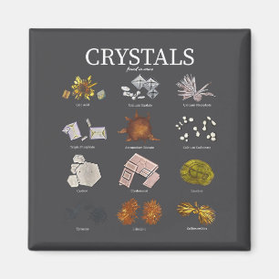 Medical Lab Urine Crystal Laboratory Tech Science Magnet