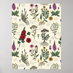 Medicinal Garden Herbarium on off white Poster