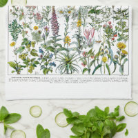 Medicinal Plants & Flowers by Adolphe Millot