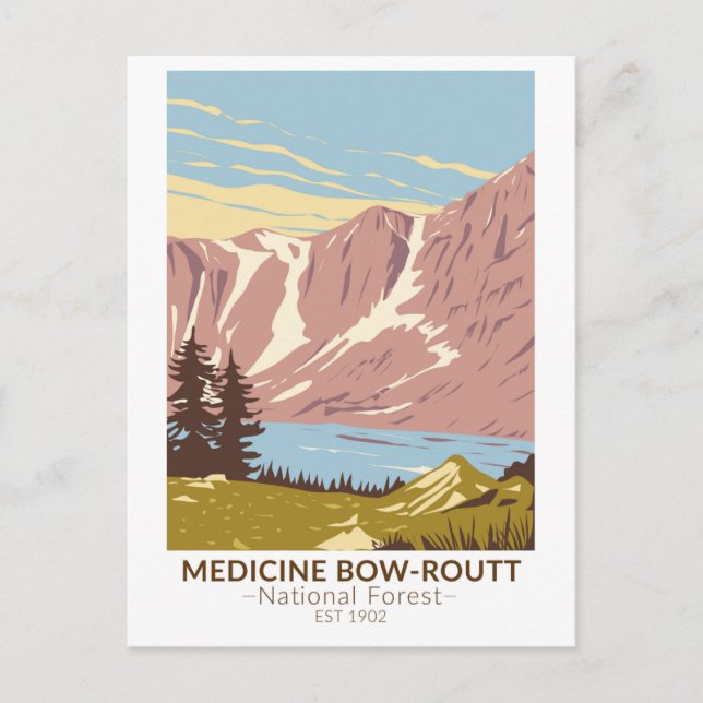 Medicine Bow - Routt National Forest Vintage Postcard (Front)