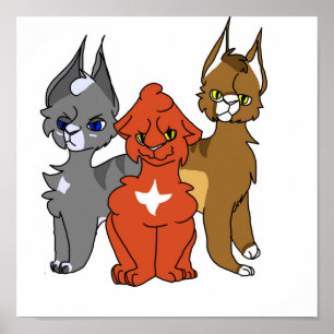 Medicine cats poster