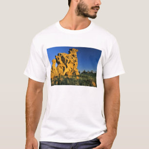 Medicine Rocks State Park near Ekalaka Montana T-Shirt