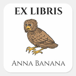 Medieval Bothered Owl Bird Bookplate Square Sticker