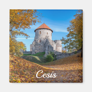 Medieval castle surrounded by forest magnet