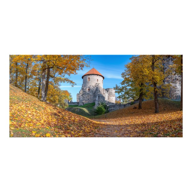 Medieval castle surrounded by forest photo print (Front)
