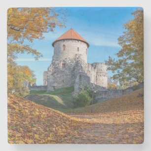 Medieval castle surrounded by forest stone coaster