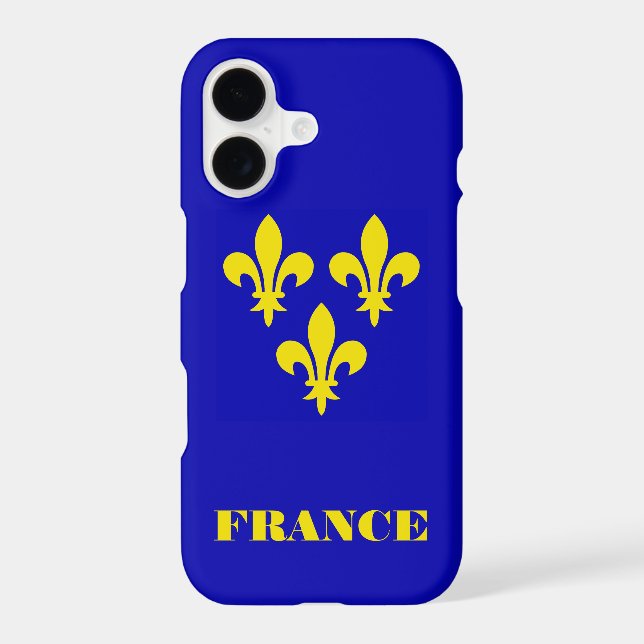 Medieval French Royal Standard Fidelity Heraldic (Back)