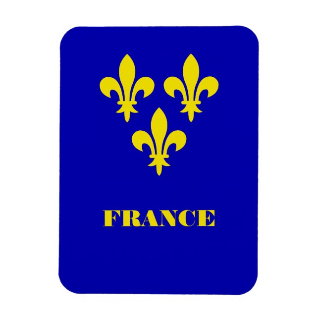 Medieval French Royal Standard Fidelity Heraldic Magnet (Vertical)