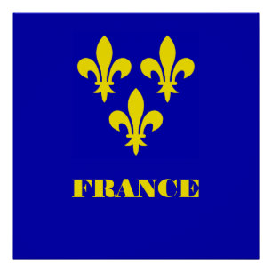 Medieval French Royal Standard Fidelity Heraldic Poster
