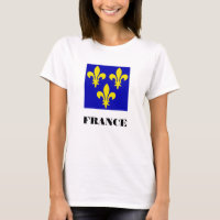 Medieval French Royal Standard Fidelity Heraldic