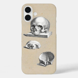 Medieval Human Skull Illustrated iPhone 16 Plus Case