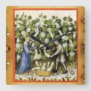 MEDIEVAL SQUASH  HARVEST PARCHMENT Squashes Square Wall Clock