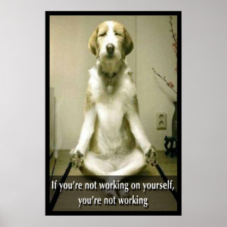 Meditating Dog Poster