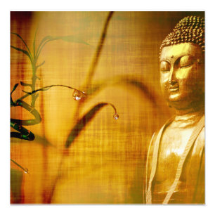 Meditation and bamboo photo print