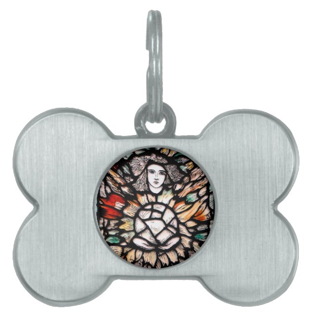 Meditation in colours. pet name tag (Front)