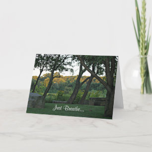 Meditation in the Meadow Card