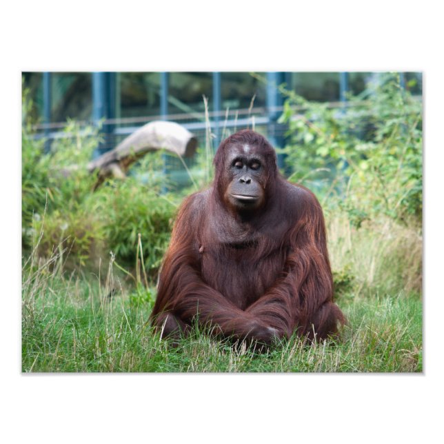 Meditation Photo Print (Front)