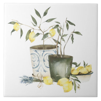 Mediterranean Citrus Italian Farmhouse Tile