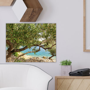 Mediterranean Coast Olive Tree Photo Poster
