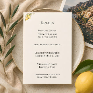Mediterranean Italian Coastal Luxury Wedding Enclosure Card