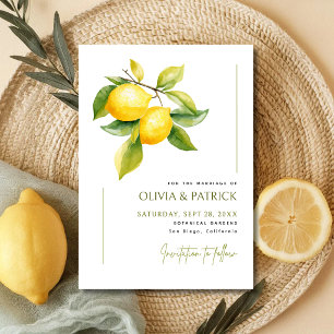 Mediterranean Italy Greece Lemon Vibrant Wedding Save The Date