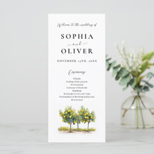 Mediterranean Lemon Watercolor Wedding Program 