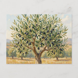 Mediterranean Olive Tree Landscape Postcard