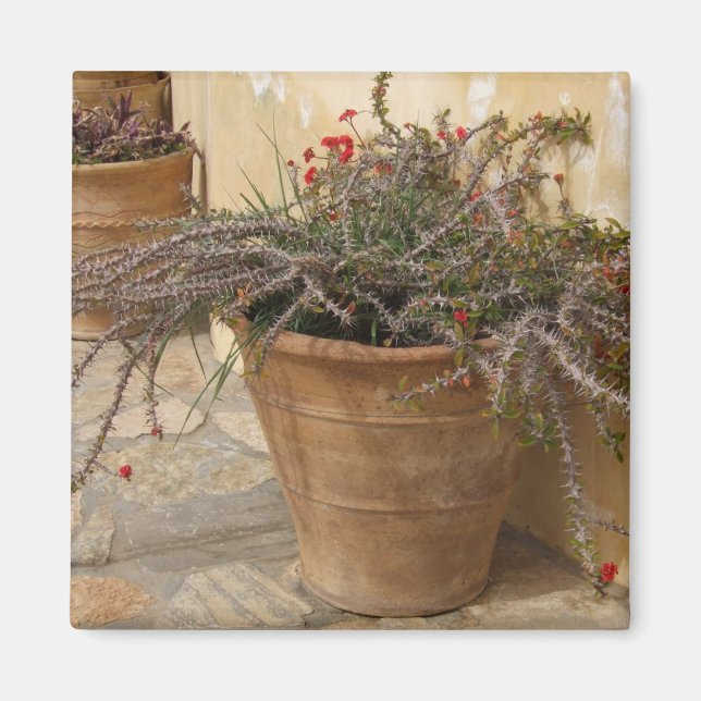 Mediterranean Pots Magnet (Front)