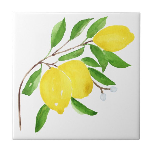 Mediterranean tiles, majolica,Sicilian style,lemon Tile (Front)