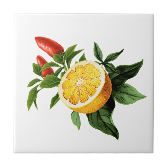 Mediterranean tiles, majolica,Sicilian style     Tile (Front)