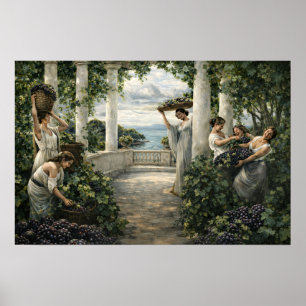 Mediterranean Vineyard Grape Harvest Poster