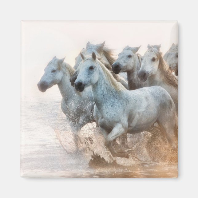 Mediterranean Water at Sunrise Magnet (Front)