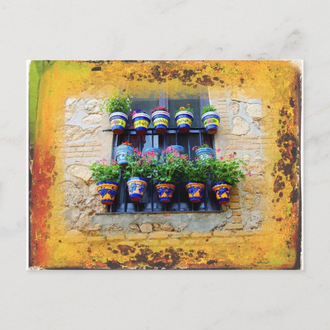 mediterranean window postcard (Front)
