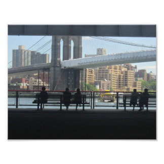 MEDIUM-SMALL Poster #D001 Photograph