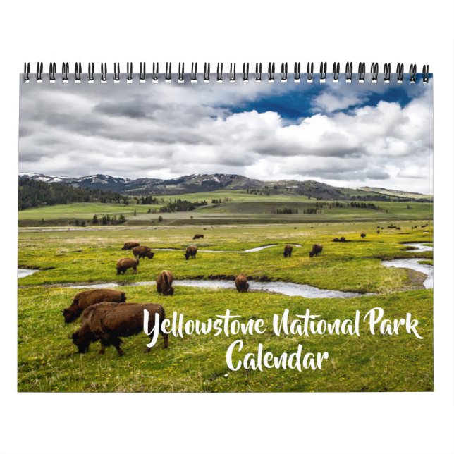 Medium Yellowstone Park Calendar (Cover)