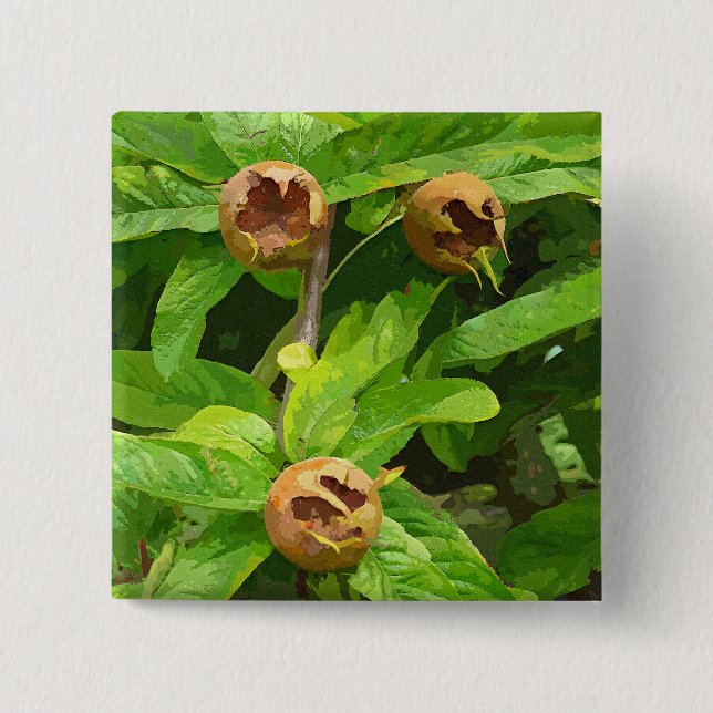 MEDLAR FRUIT 15 CM SQUARE BADGE (Front)