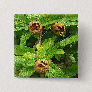 MEDLAR FRUIT 15 CM SQUARE BADGE