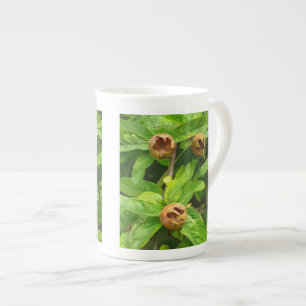 MEDLAR FRUIT BONE CHINA MUG