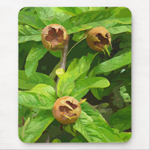 MEDLAR FRUIT MOUSE PAD