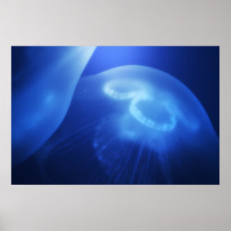 Medusa 1 poster