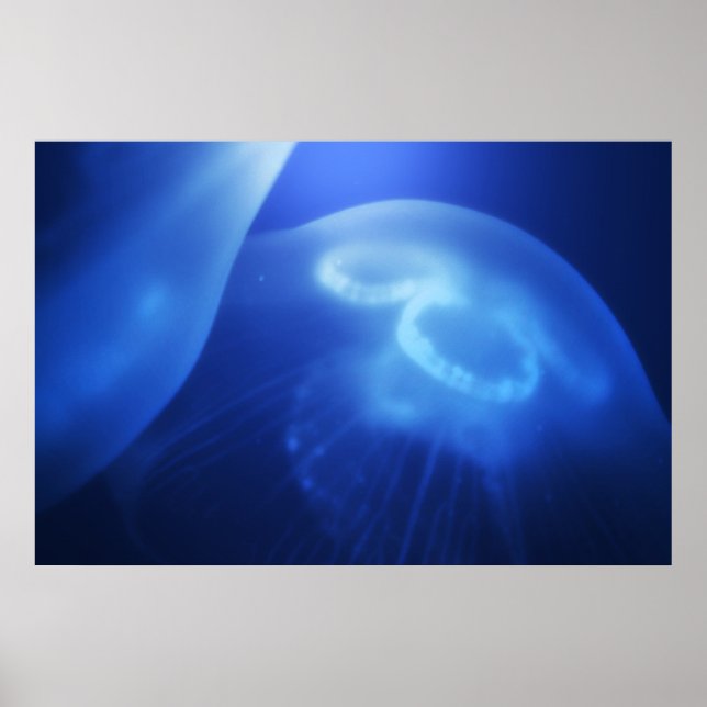 Medusa 1 poster (Front)