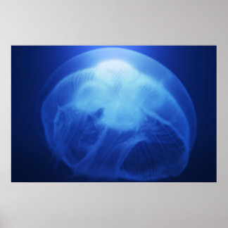 Medusa 3 poster
