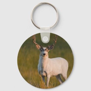 Meeker's White Buck 2 Key Ring
