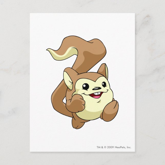 Meerca Brown Postcard (Front)