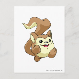 Meerca Brown Postcard