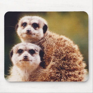 meercat mouse pad